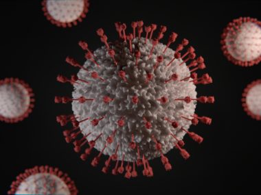 Coronavirus. Photo by Viktor Forgacs on Unsplash.